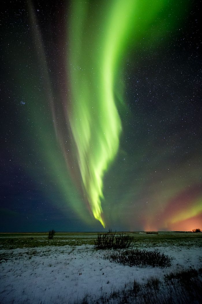 13 aurora selfoss