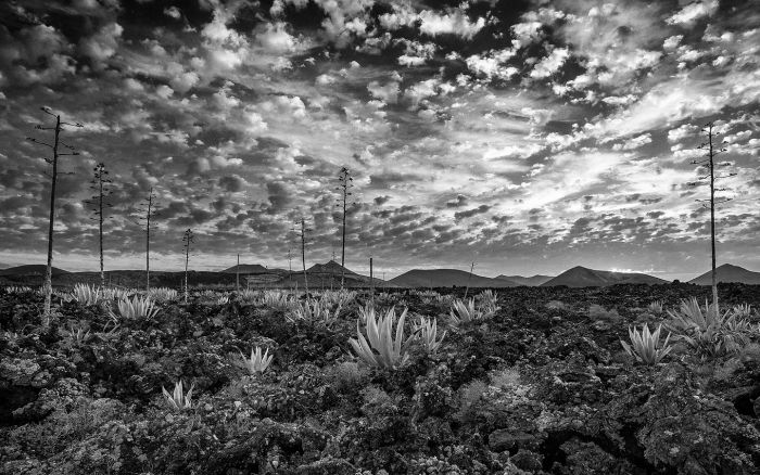 06 timanfaya