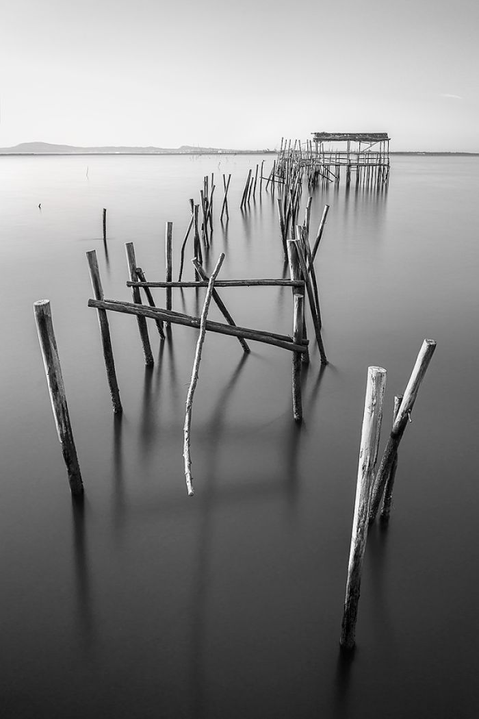 12 carrasqueira